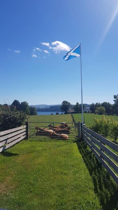 Cosy 2 Bedroom Croft Cottage With Beautiful Views North Kessock Zewnętrze zdjęcie