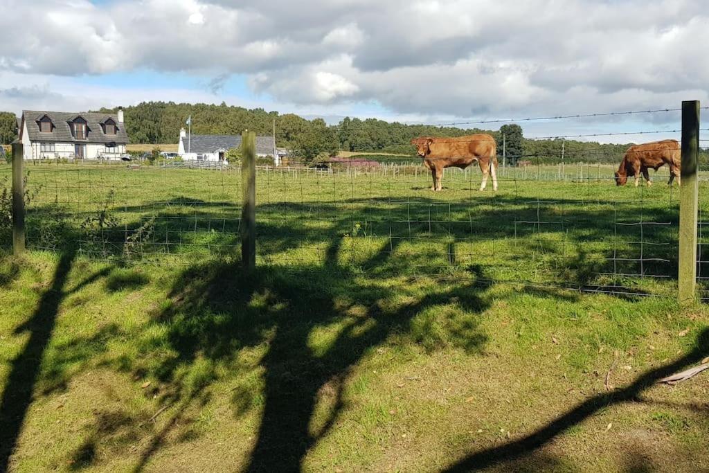 Cosy 2 Bedroom Croft Cottage With Beautiful Views North Kessock Zewnętrze zdjęcie